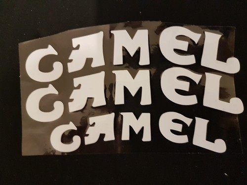 St077 set x camel - 3,