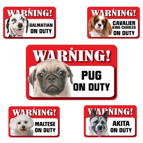 Pet dog warning signs - warning,