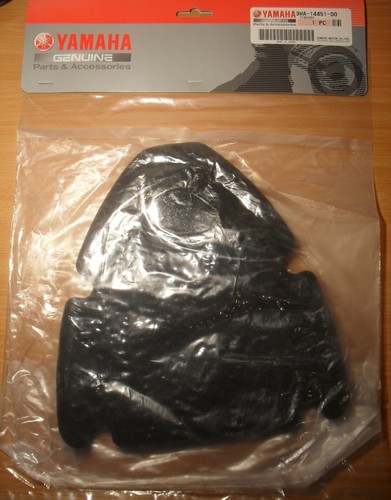 Yamaha tzr250 air filter - yamaha,