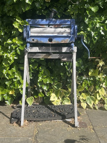 Royal mangle - royal,