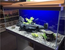 **BRAND NEW** LARGE Fish Tank