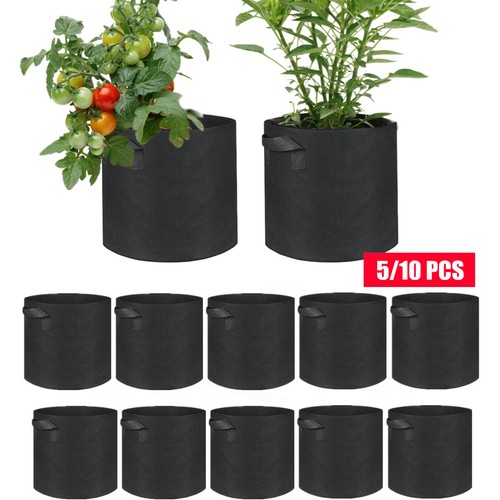Pack large plant grow - pack,