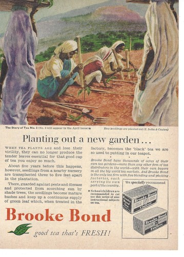 Brooke bond tea ephemera - tea,