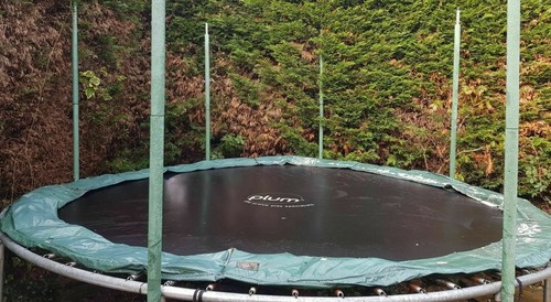 Trampoline plum 10ft - trampoline,
