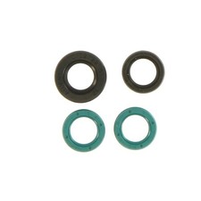 1X ENGINE GASKETS - SET FITS