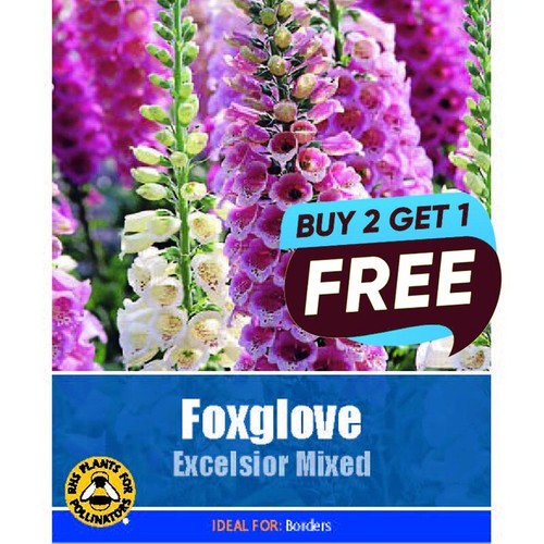 Foxglove excelsior mixed seeds - foxglove,