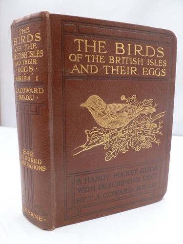 The birds british - the, isles