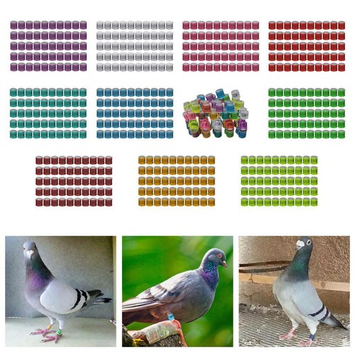 50x 2023 aluminium racing - 2023,