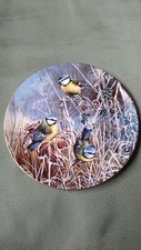 WINTER BLUETIT COALPORT BIRD COLLECTORS PLATE FROM THE SERIES FROSTY MORNINGS