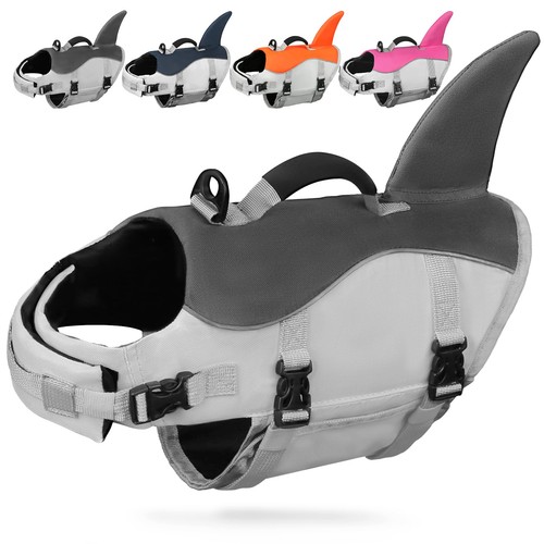 Amznova shark dog - dog, life