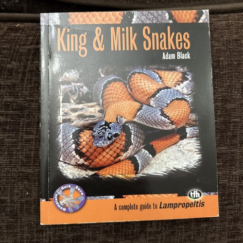 King and milk snakes adam - and,