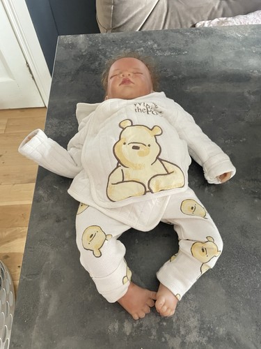 Ashton drake reborn - ashton,