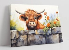 CUTE HIGHLAND COW BEHIND WALL