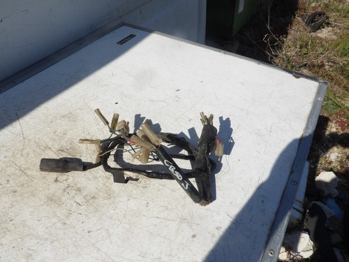 Honda 50j wiring loom - honda,