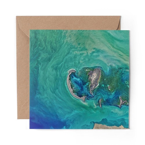 Blank greeting card - blank,
