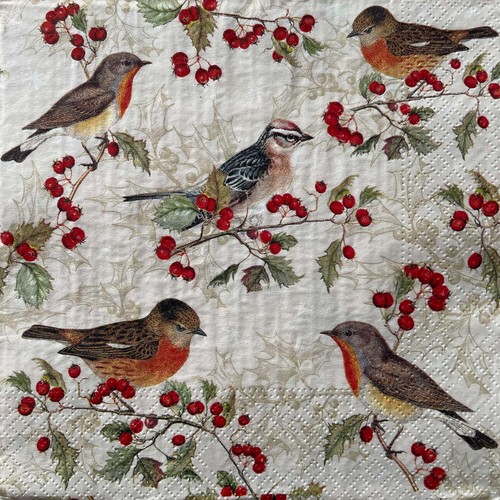 Luncheon paper napkins for - 2,