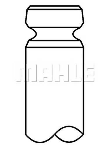 Outlet valve mahle fits man - outlet,