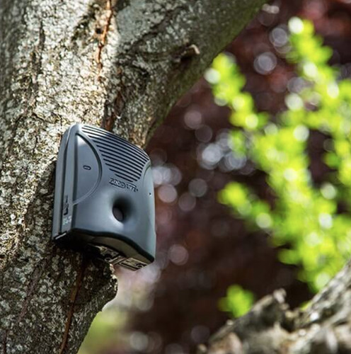 Dog silencer max - dog,