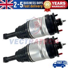 2x Rear Air Suspension Strut