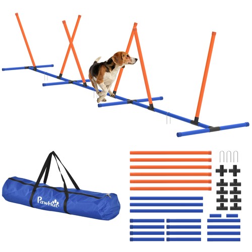 Dog agility training equipment - dog,