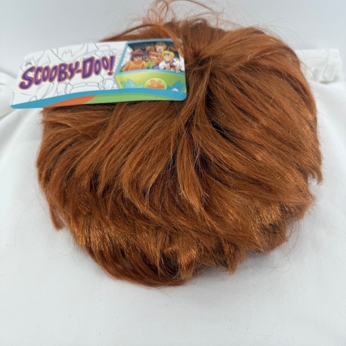 Scooby doo shaggy - costume, wig