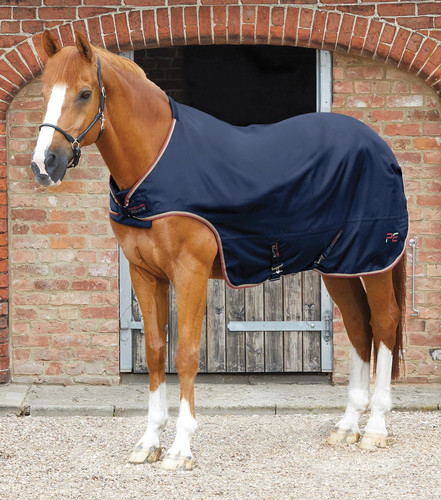 Premier equine horse walker - horse,