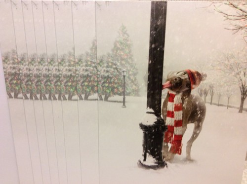 Christmas avanti greeting - christmas,