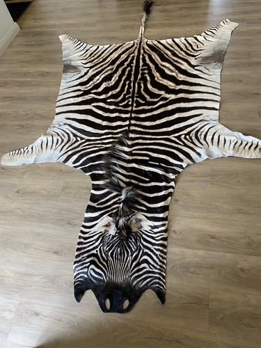 Zebra real skin rug hide - rug,