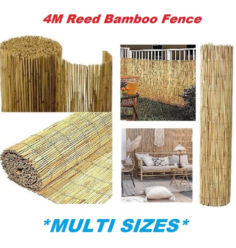 Natural peeled reed screening - reed,