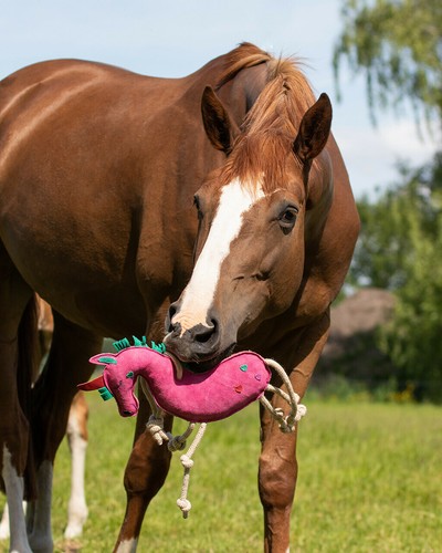 Qhp horse toy - field, stable