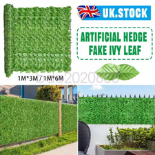 6M Artificial Hedge Fake Ivy