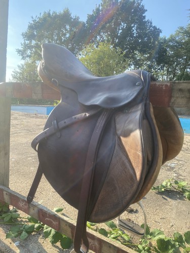 Stubben siegfried jump - ii,