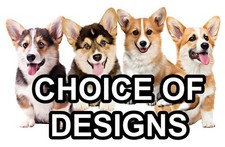 Pembroke Welsh Corgi Self