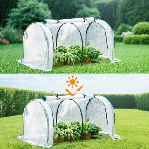 Mini plant greenhouse - plant, plastic