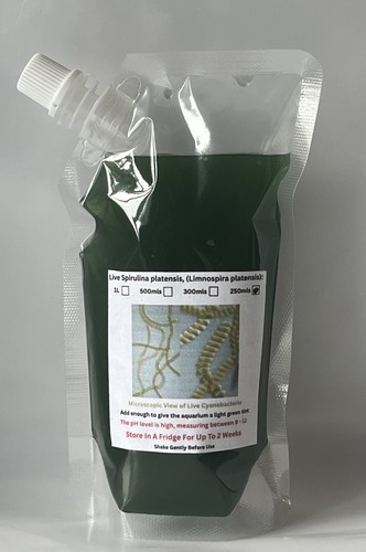 Live spirulina platensis - live,