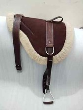 Western English Horse Riding