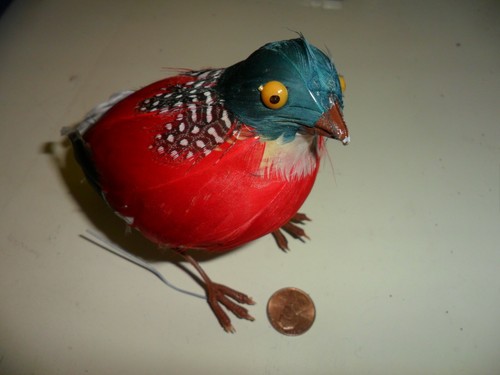 Feathered partridge - 5",
