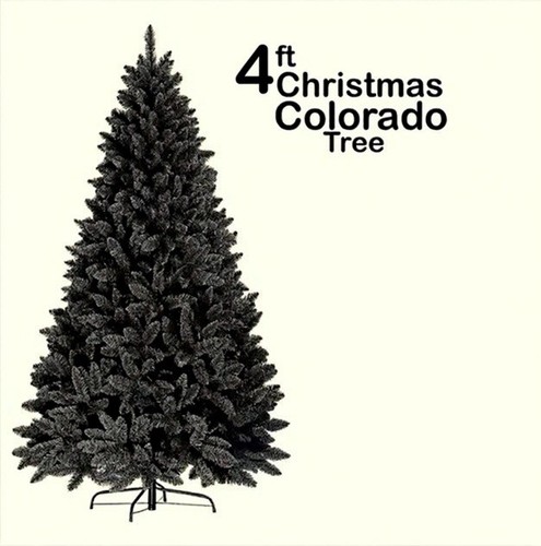 Christmas tree xmas colorado - tree,