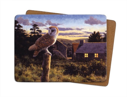 Barn owl dusk table - owl, at