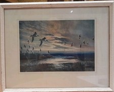 Peter Scott, Pair of Teal