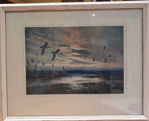 Peter scott pair - scott,, teal