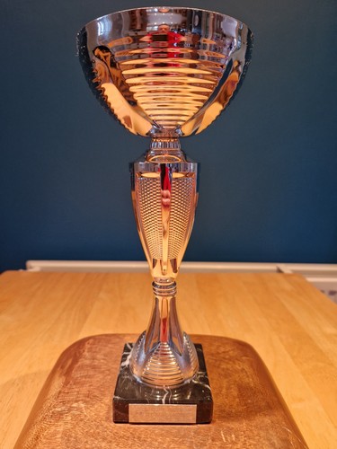 Large 270mm tall silver - large,