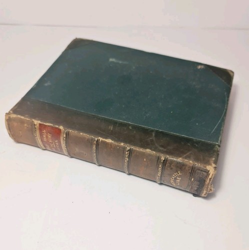 Antique book 1900 what - antique,