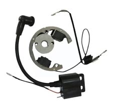 Ktm sx 50 stator and coil