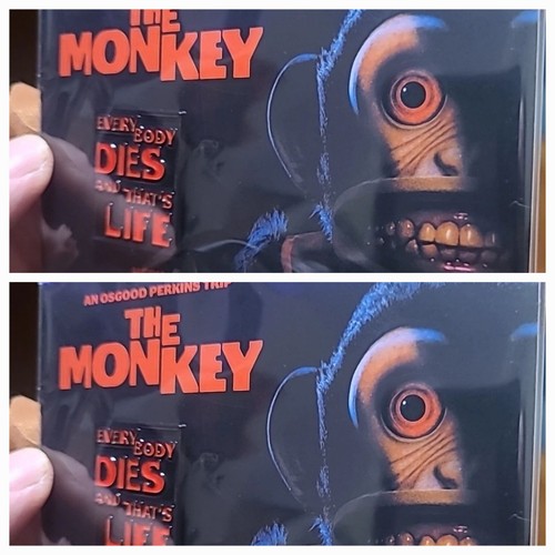 The monkey 2025 - 2025, neon