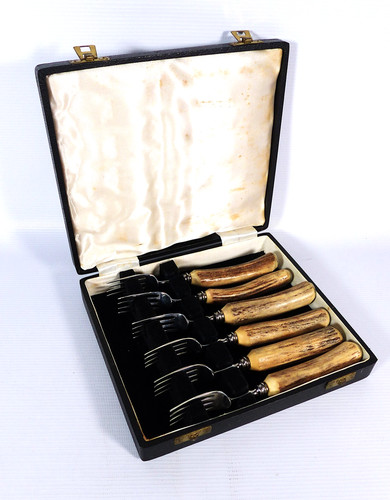 Set vintage horn handled - 6,