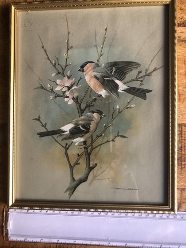 The bullfinches basil ede - basil,
