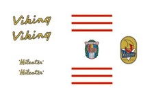 Viking Mileater Bicycle Frame Decals, Transfers  n.10