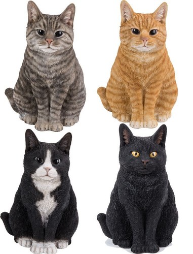 Vivid arts cat sitting - cat,