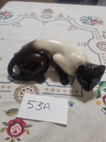 English made siamese cat - siamese,